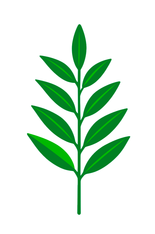 Eucalipto